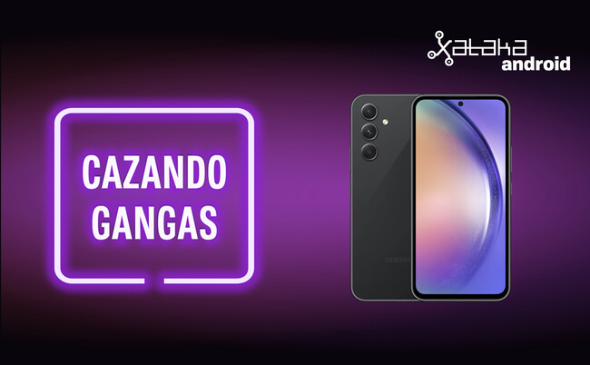 Cazando Gangas