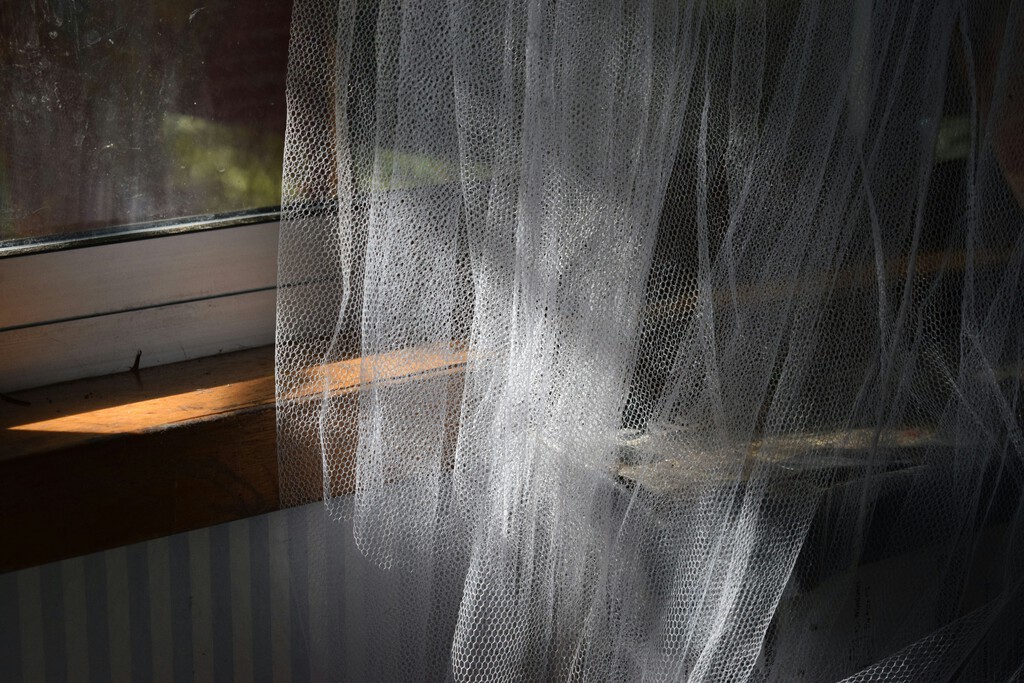 Adiós a las mosquiteras de toda la vida: cinco alternativas eficientes y fáciles de instalar para evitar insectos en casa