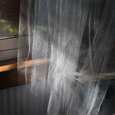 Adiós a las mosquiteras de toda la vida: cinco alternativas eficientes y fáciles de instalar para evitar insectos en casa