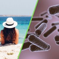 No todas las playas de México son aptas este verano: Cofepris identifica cinco que recomienda evitar en tus vacaciones