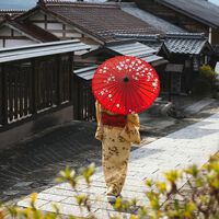 En 1966 una superstición dejó mella en la pirámide poblacional japonesa. 60 años más tarde, la historia amenaza con repetirse