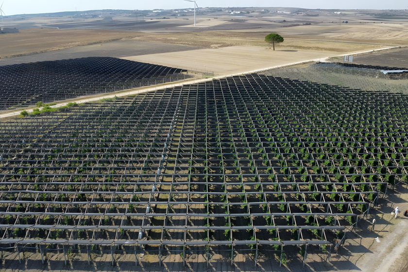 paneles solares