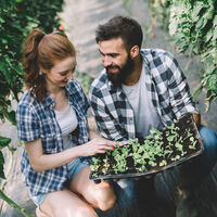 Primero fueron los perrhijos, ahora los plant parents: por qué hay tantos millennials que se consideran padres de plantas
