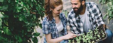 Primero fueron los perrhijos, ahora los plant parents: por qué hay tantos millennials que se consideran padres de plantas