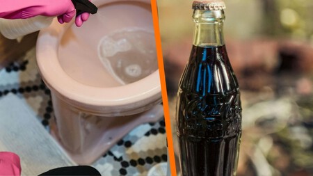 Muchos recomiendan usar una coquita para quitar el sarro del baño. No funciona como debería