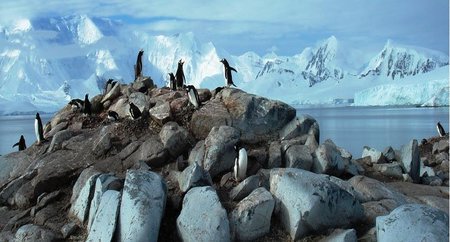 Chile planea construir un museo en la Antártida