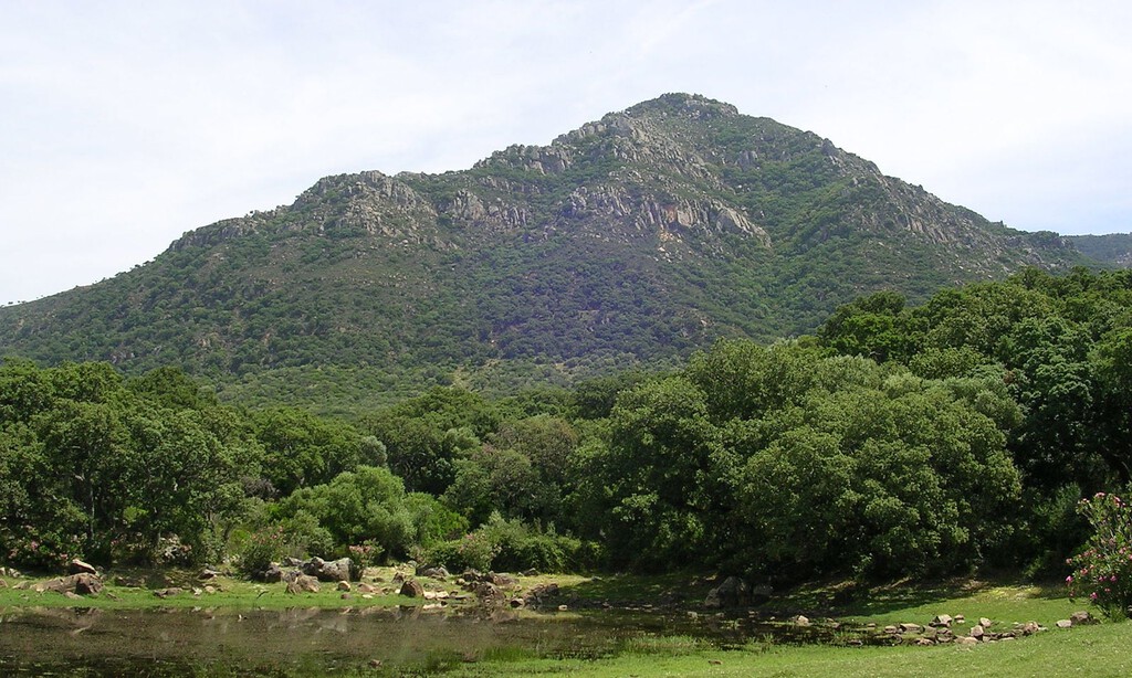 Pese a la sequía y el cambio climático, Andalucía es hoy más verde que en los 90. No es tan positivo como parece 