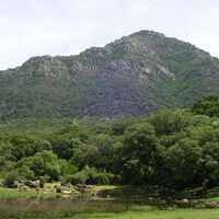 Pese a la sequía y el cambio climático, Andalucía es hoy más verde que en los 90. No es tan positivo como parece 