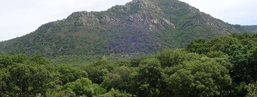 Pese a la sequía y el cambio climático, Andalucía es hoy más verde que en los 90. No es tan positivo como parece 