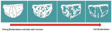 Project Underpants