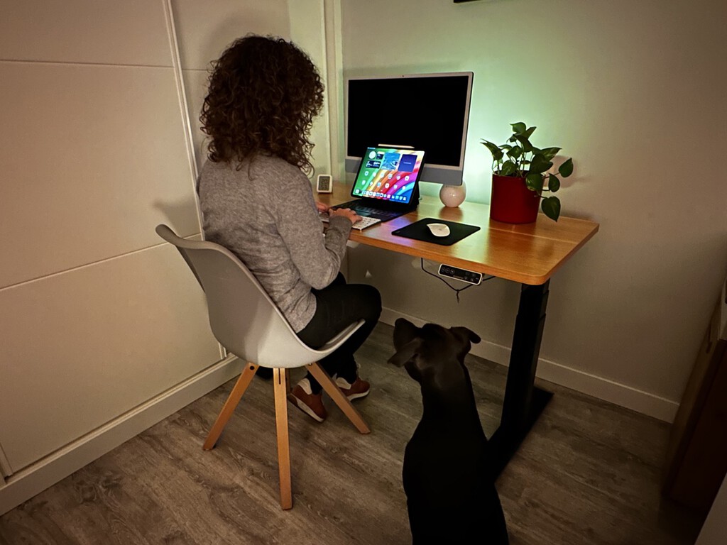 Uso escritorio ajustable en altura para trabajar y no vuelvo atrás. Me he dado cuenta de lo bien que sienta a mi espalda