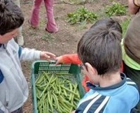 Fuerte y sano quiero estar, proyecto para fomentar en los niños los hábitos saludables