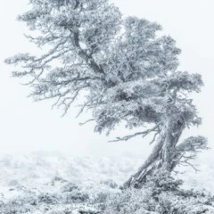 Foto 9 de 10 de la galería mundo-vegetal en Xataka Foto