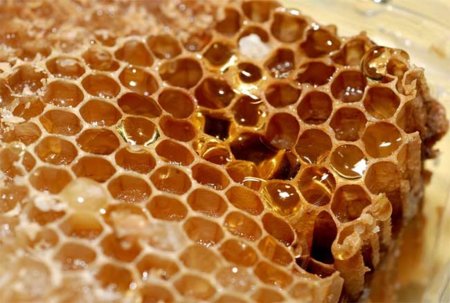 Miel de manuka, propiedades medicinales para el organismo