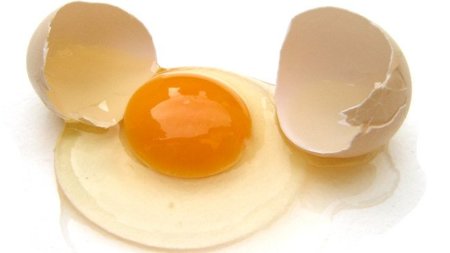 Análisis nutricional de un huevo