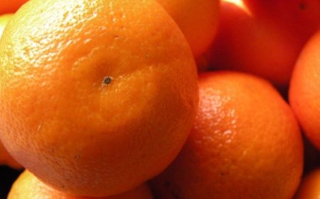 Época de mandarinas, la forma fácil de tomar vitaminas, minerales y fibra