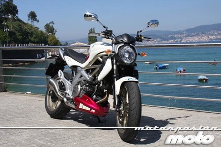 Suzuki Gladius 650