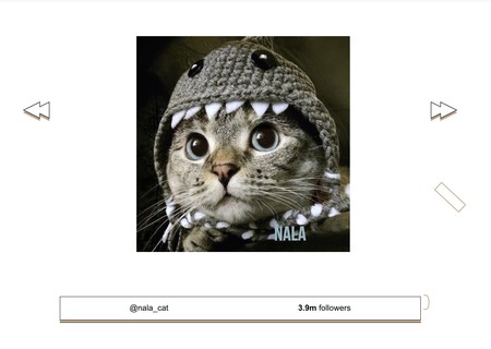Los gatos más famosos de Instagram cobran vida en una web que es tan genial como inquietante