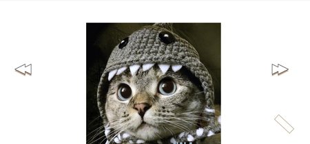 Los gatos más famosos de Instagram cobran vida en una web que es tan genial como inquietante 