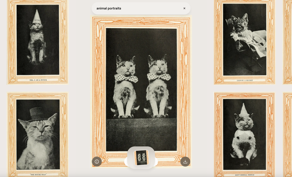 Una alternativa a Pinterest acaba de lanzar un motor de búsqueda de contenidos de dominio público: así puedes usarlo