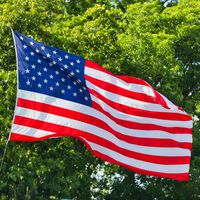 Una vulnerabilidad afecta a los sistemas gubernamentales de Estados Unidos y los resultados de las elecciones están en peligro