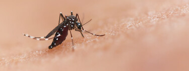 Ante las picaduras de mosquitos, este dispositivo que vende Amazon es ideal para el verano 