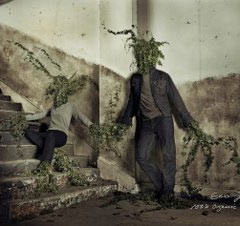 Foto 6 de 8 de la galería campanas-de-levis en Trendencias