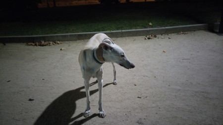 Img 20170808 012624 0