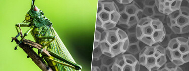 We are one step closer to creating a "invisibility cloak". Thanks to a grasshopper's anus, in part  