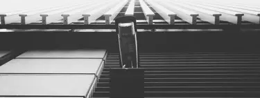 De buscar fallos de software a ayudar a expulsar migrantes: se inicia una protesta en GitHub contra las supuestas prácticas de Palantir 