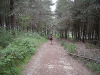 El destino o el camino