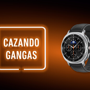 Cazando Gangas