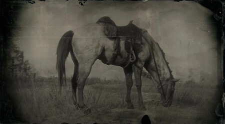 Sangre Caliente Holandes