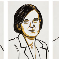 Nobel de Economía de 2019 a Banerjee, Duflo y Kremer: resolviendo la pobreza antes que la desigualdad