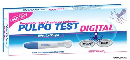 Test de embarazo del pulpo Paul: infalible, seguro