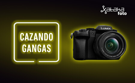 Panasonic Lumix G90, Sony A7R II, LG Velvet 5G y más cámaras, móviles, objetivos y accesorios al mejor precio en el Cazando Gangas