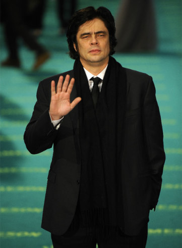 Looks en la gala de los premios Goya 2009