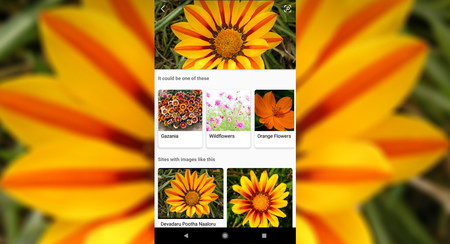 Microsoft estrena un buscador visual a lo Google Lens para iOS y Android