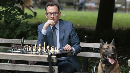 Escena Person Interest