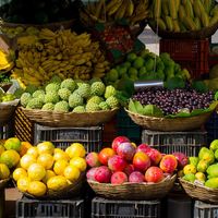¿Te gusta la comida orgánica? Estos son tus destinos ideales