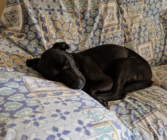 Dormir En Tamano Grande