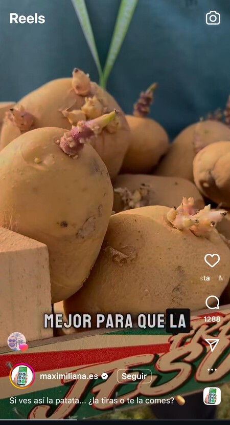 Whatsapp Image 2025 11 23 At 22 01 38