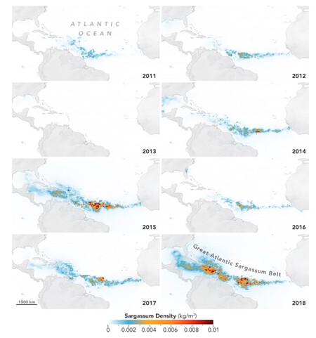 Captura De Pantalla 2026 03 07 A Las 10 28 57