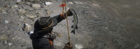Todos Los Peces De Rdr2