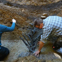 La clave de la victoria de Vietnam estaba en un arma que ya usaba el Imperio Romano 2.000 años antes. Ahora acabamos de desenterrar la primera de la historia