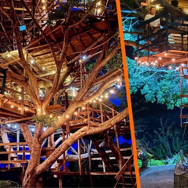 Ni te imaginas que este oasis existe: la gigantesca casa del árbol en Morelos ideal para una escapada exprés 