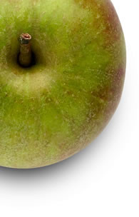Apple nos sigue dejando satisfechos