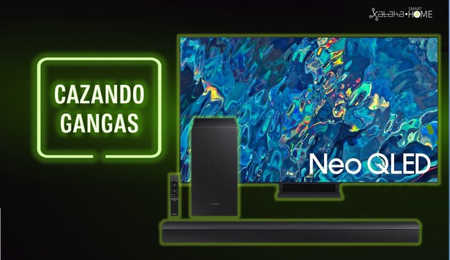 Smasungportada