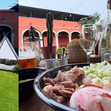 Este lugar en Xochimilco lo tiene todo: trajinera, comida, camping y sí, puedes llevar a tu perro