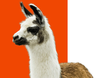 Winamp 5.8 ha sido liberado de forma oficial
